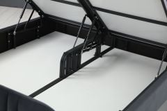 Line Baza Başlık  Siyah Ayak Anka19