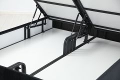 Star Baza Başlık  Siyah Ayak Anka19